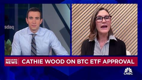 ARK Invest CEO Cathie Wood We Believe That Bitcoin Is A Public Good