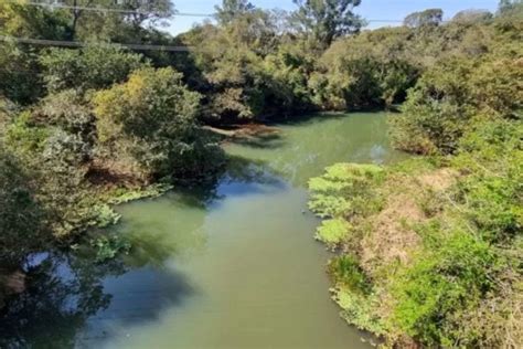 Hidroavi O Cai Fica Submerso Em Represa E Mata Dois Idosos No Interior