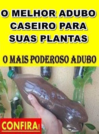 Fa A Esse Adubo E Seu P De Mam O Vai Produzir X Mais Como Adubar