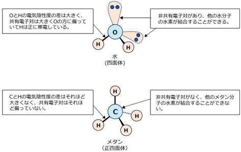 化学講座 第8回：水素結合と水の性質 私立・国公立大学医学部に入ろう！ドットコム