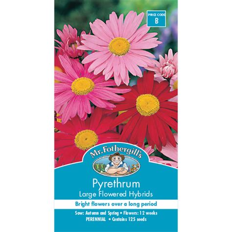 Mr Fothergill's Pyrethrum Large Flower Seeds - Bunnings Australia