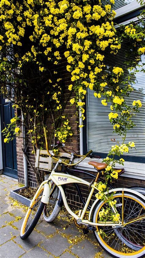 Pin De Abigail Van Blerk En Casa En Fotografia Italia Flores