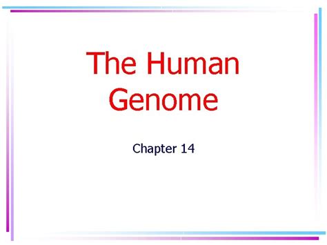 The Human Genome Chapter 14 Human Chromosomes Karyotype