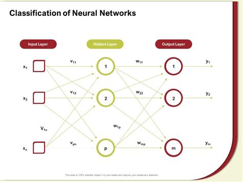 Classification Of Neural Networks Output Layer Ppt Powerpoint