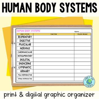 Human Body Systems Graphic Organizer By Laney Lee TPT