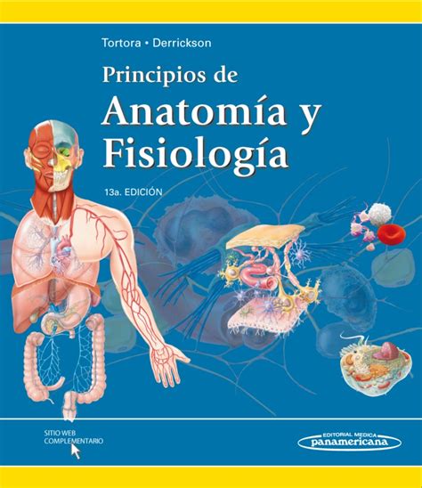 Principios De Anatom A Y Fisiolog A Tortora Derrickson A Edici N