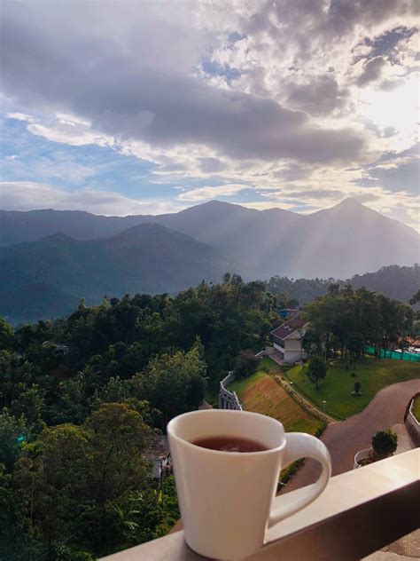 Vibe Resort Munnar | Five Star Luxury Resort in Munnar