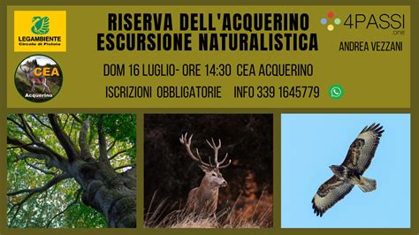 Escursione Naturalistica Benvenuti Su Ceaacquerino