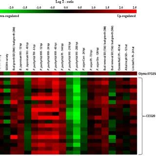 Heatmap constructed to illustrate the fold-change (log2) in expression ...