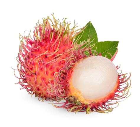 Fresh Rambutan Fruit With Leaves Isolated On White Background Stock