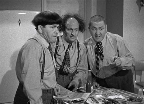 The Three Stooges The Three Stooges Funniest Pictures Ever Coat