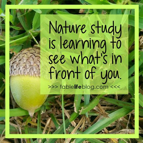 10 Easy Nature Study Ideas Nearly Anyone Can Enjoy - TableLifeBlog