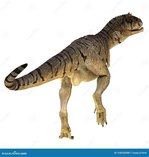 Carnotaurus Sastrei Dinosaur Tail Stock Illustration Illustration Of