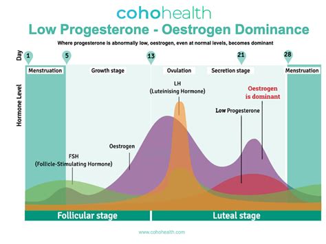 Functional Medicine Approach To Fertility Coho Health