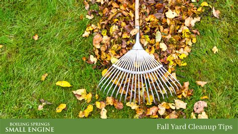 Fall Yard Cleanup Tips | Lawn Mower Sales and Service | Spartanburg ...