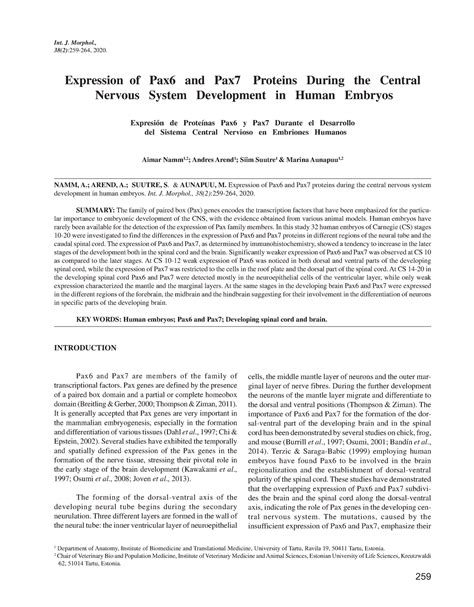 Expression of Pax6 and Pax7 Proteins During the Central Nervous System ... 