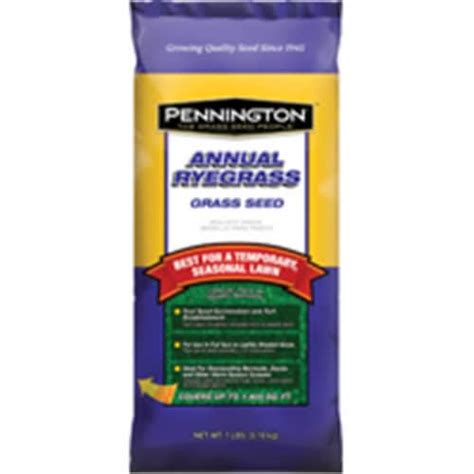 Pennington Seed Annual Ryegrass Full Sun Light Shade Grass Seed 7 Lb Total Qty 1 Count Of