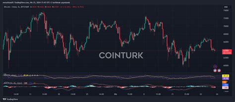 Aumento Significativo en las Carteras de Bitcoin con Más de 1000