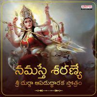 Sri Durga Apaduddharaka Stotram - Play & Download All MP3 Songs @WynkMusic