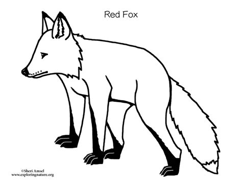 Fox (Red) 2 Coloring Page