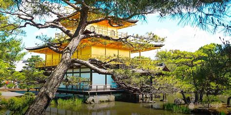 Your ultimate Kyoto 2 Days Itinerary to the top 5 temples in Kyoto & Sights