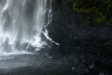 Tropiques - The book on Behance