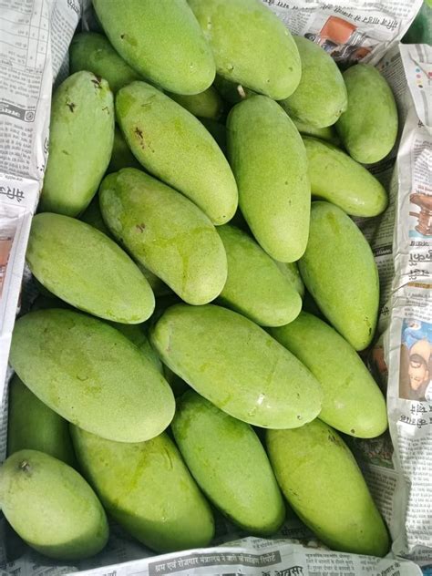 Malda Mango Green Mangoes Crate Packaging Size 20 Kg At Rs 28 Kg In