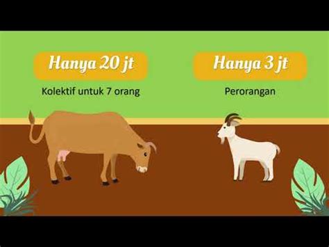 Video Promosi Hewan Qurban Kode Qurban Jasa Video Promosi Usaha