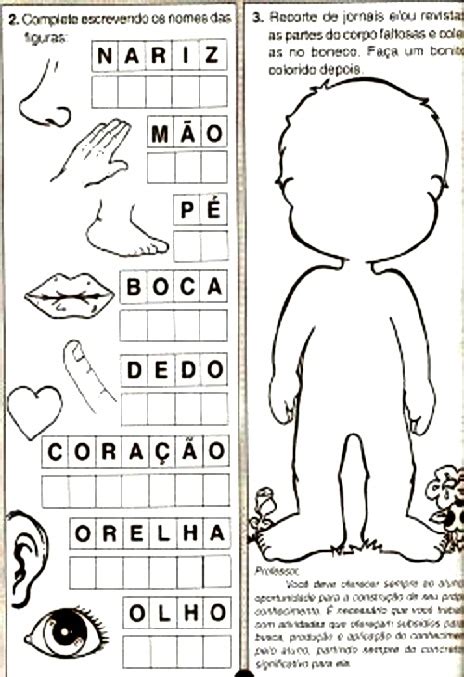 CORPO HUMANO PARA 1º ANO, IMPRIMIR E COLORIR - Mistura de Alegria