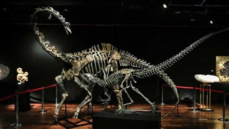 Cuánto vale un esqueleto de dinosaurio En París US 1 73 millones