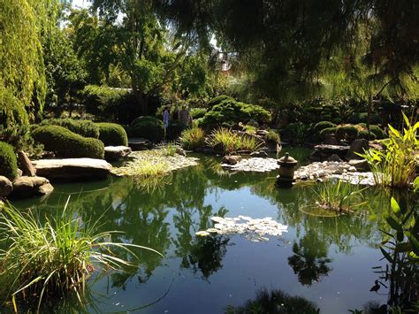 Japanese Himeji Gardens South Terrace Adelaide Kids In Adelaide