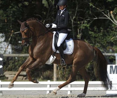 Woman Riding a Brown Horse