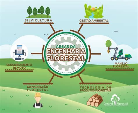 A Engenharia Florestal