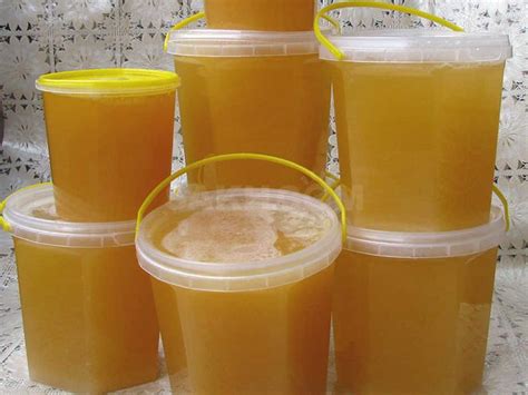 Башкирский мед: полезные свойства, сорта, фото продукта, отличия от ...