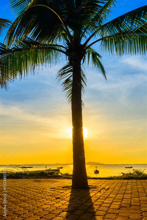 Coconut tree on beach with warm light and sunset background Stock Photo ...