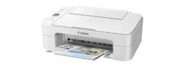 Cartuchos de tinta para Canon Pixma TS3300