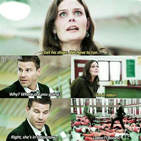 Season 7 Episode 7 The Prisoner in the Pipe Bones Memes, Bones Quotes ...