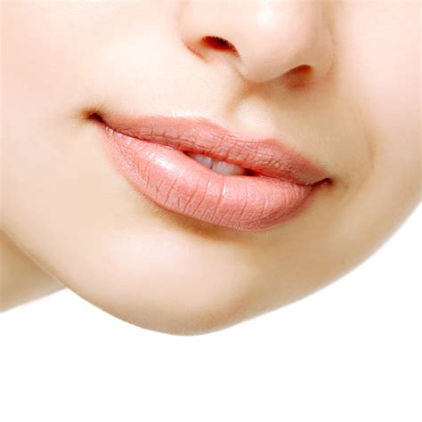 GOLDEN NUDE Biologische Lippenstift Natuurcosmetica Minerale Make Up