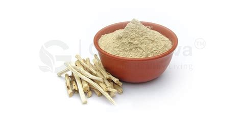 Bulk Shatavari Powder Vs Shatavari Extract Powder