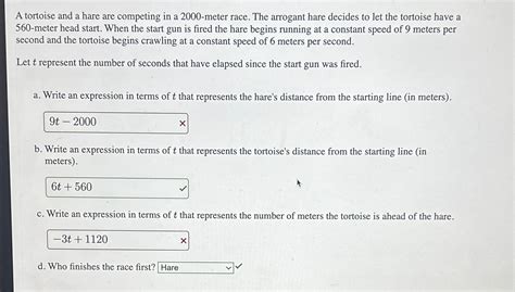 Solved A Tortoise And A Hare Are Competing In A Meter Chegg