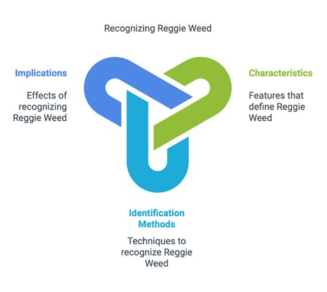 Understanding Reggie Weed Characteristics Of Low Grade Cannabis