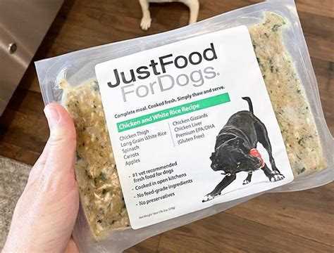 5 Dog Food Delivery Services So Good, Humans Could Eat It (+ 50% Off)