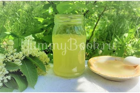 Сироп из цветков черной бузины - простой и вкусный рецепт с пошаговыми фото