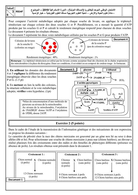 Examen National SVT Sciences Physiques 2019 Rattrapage Sujet AlloSchool