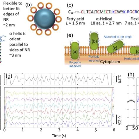 The Top Panel Shows Schematics For The QCSE Effect In Type I Vs Type II