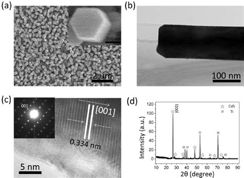 A Sem Image Of Cds Nanorod Arrays Grown On Ti Foil In A Top View The