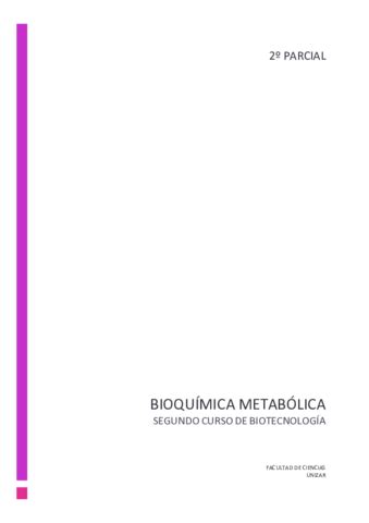 BIOQUIMICA METABOLICA 2o Parcial Pdf