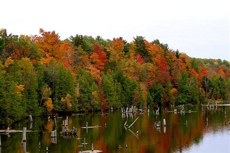 Fall Lake Scenery Photograph by Gretchen Garbett - Fine Art America