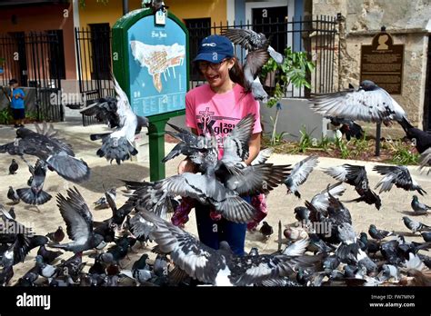 Feeding Pigeons At Pigeon Park In Old San Juan Puerto Rico Stock Photo