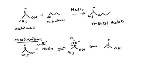 Solved Reaction Type Overall Reaction Of 1 Butanol And Acetic Acid To Form N Butyl Acetate